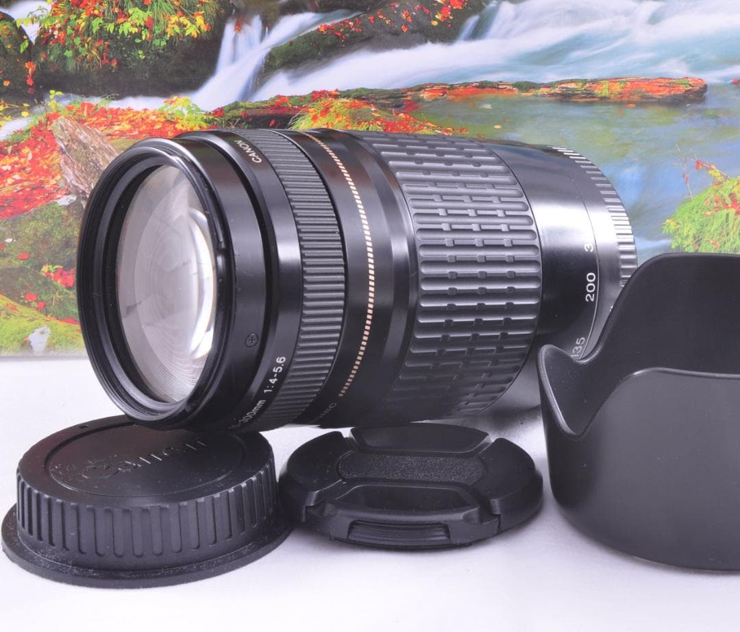レンズが残す絆！ Canon キヤノン EF75-300mm 望遠レンズ