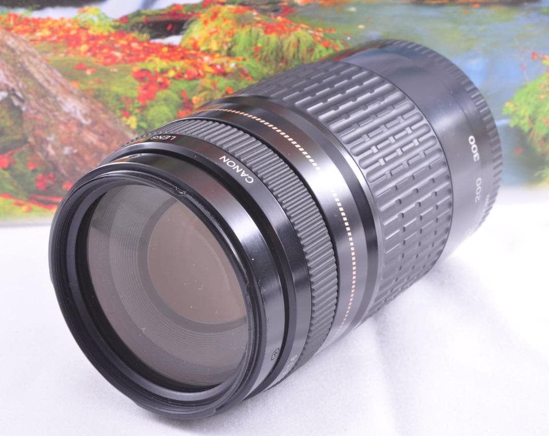 レンズが残す絆！ Canon キヤノン EF75-300mm 望遠レンズ
