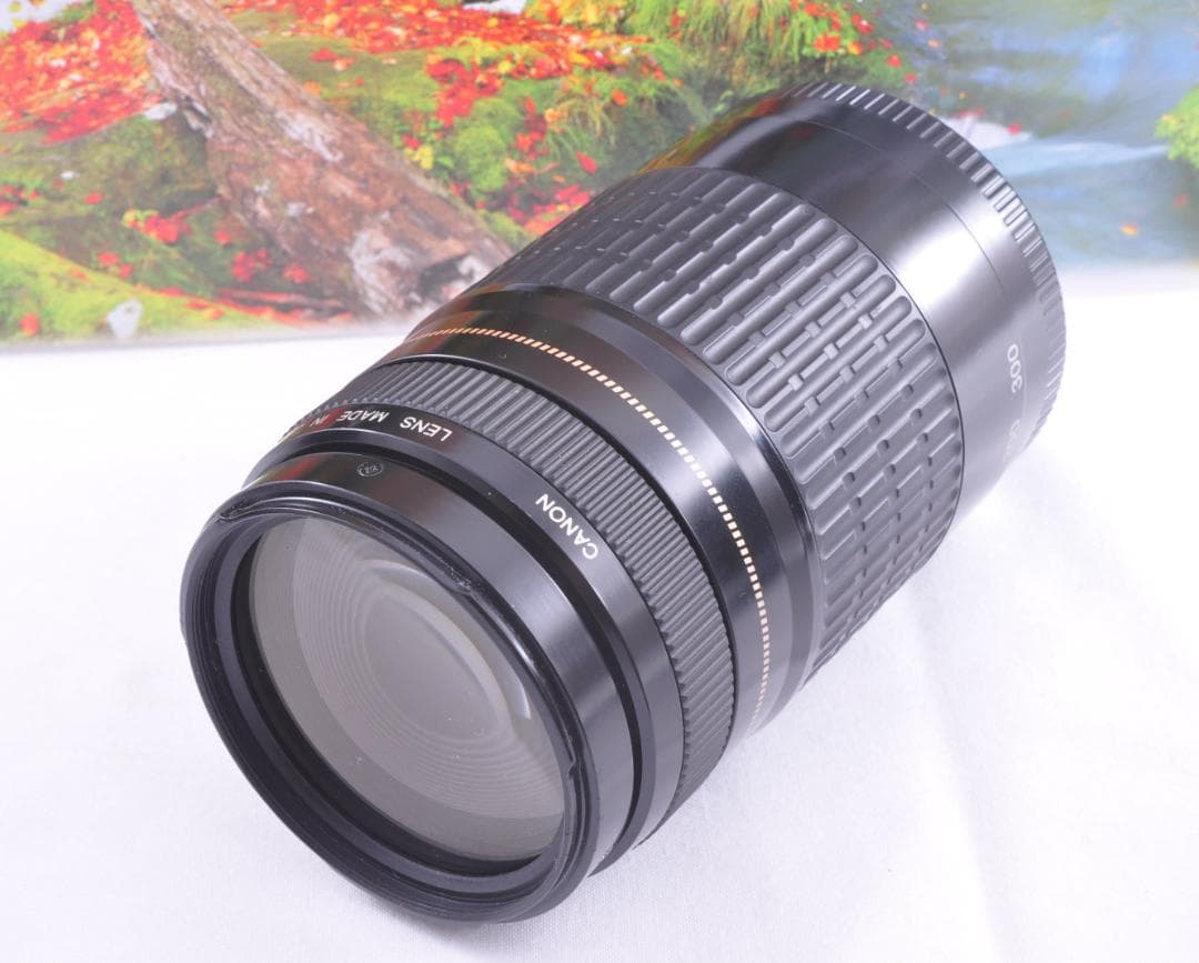 レンズが残す絆！ Canon キヤノン EF75-300mm 望遠レンズ