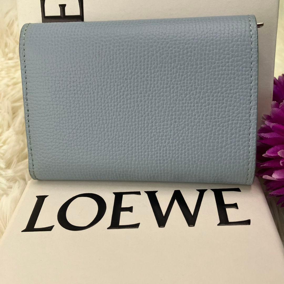 極美品 完売色 ロエベ バーティカルウォレット スモール ダスティブルー