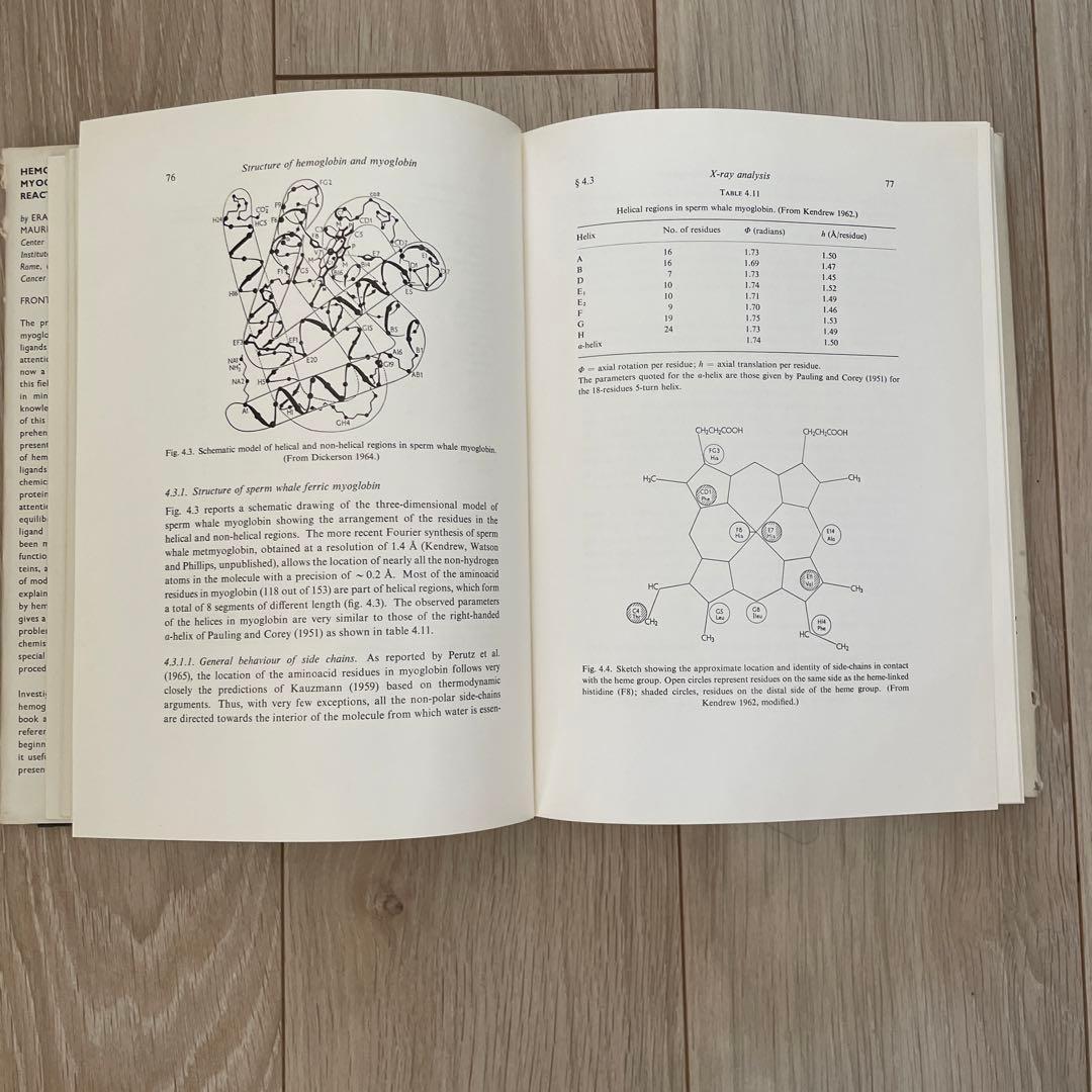 Hemoglobin and myoglobin in their （以下本文）