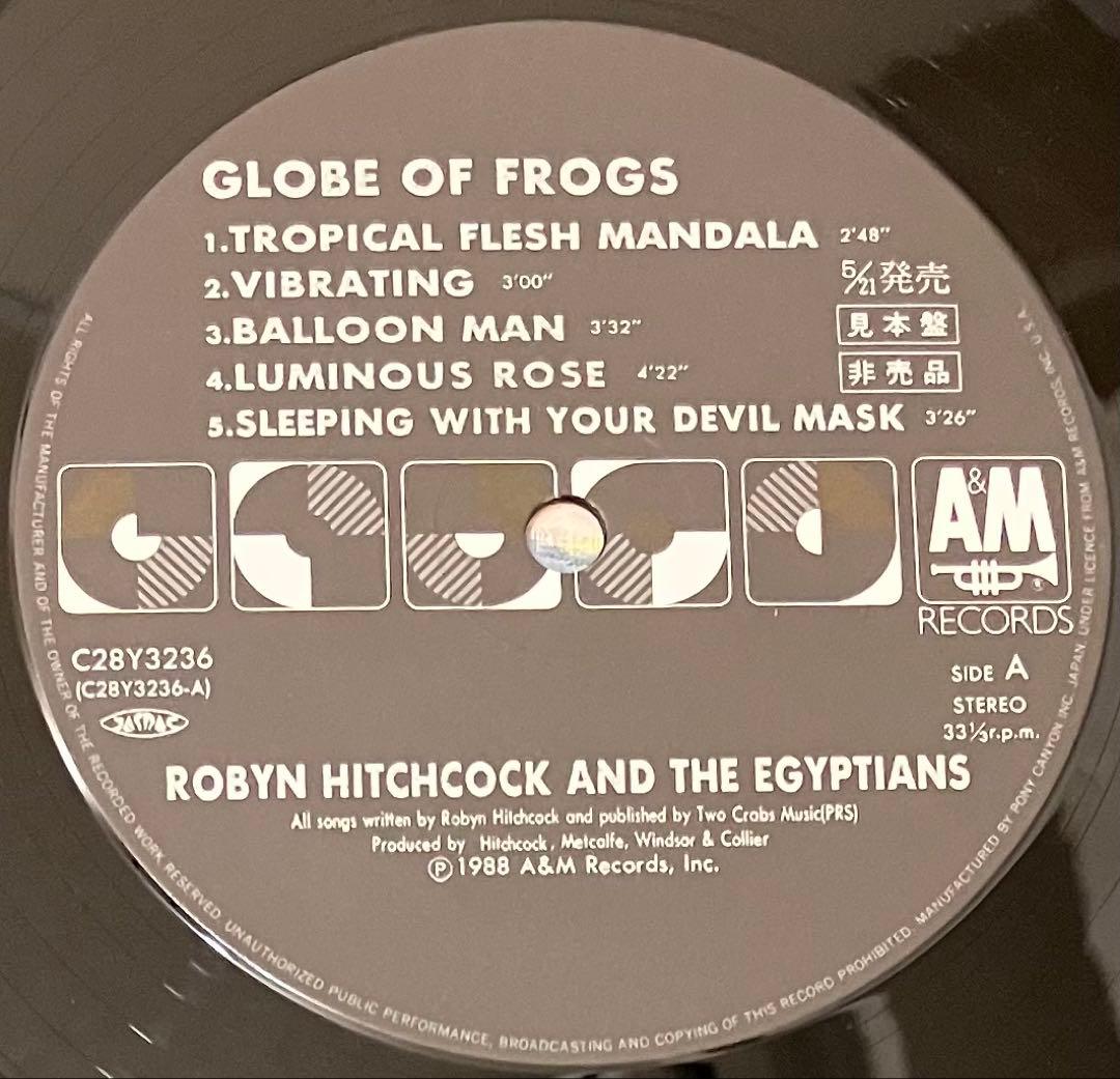洋楽 Robyn Hitchcock And The Egyptians Globe