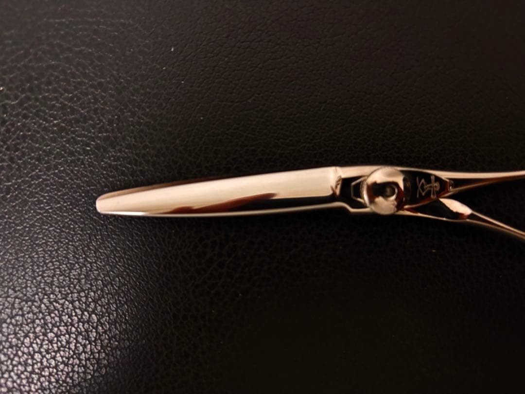 【3月のおすすめ】新品 未使用 ハイネッタ シザー レミー 201