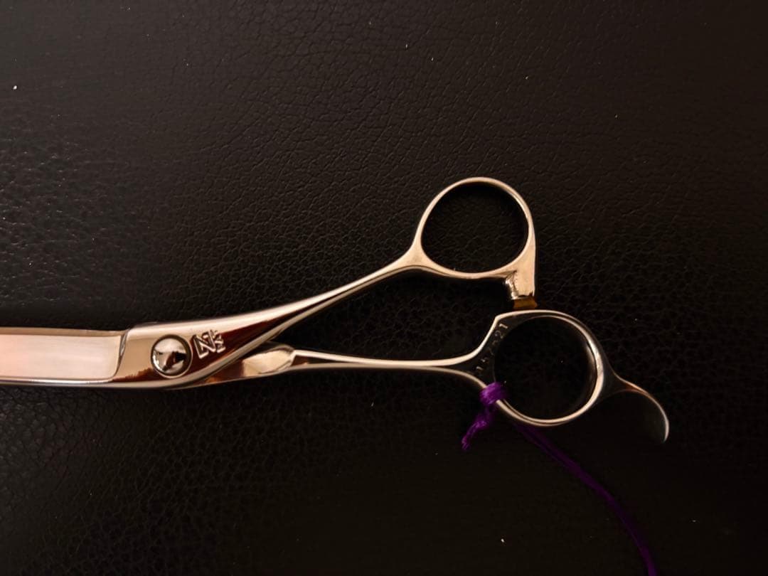 【3月のおすすめ】新品 未使用 ハイネッタ シザー レミー 201