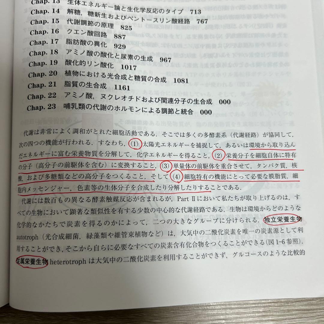レーニンジャーの新生化学　第７版