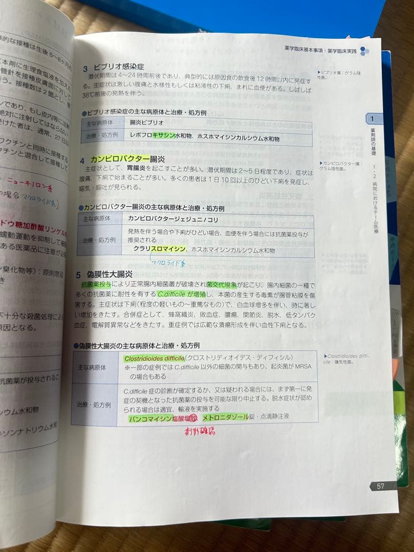 第111回薬剤師国家試験対策参考書 青本青問全巻セット