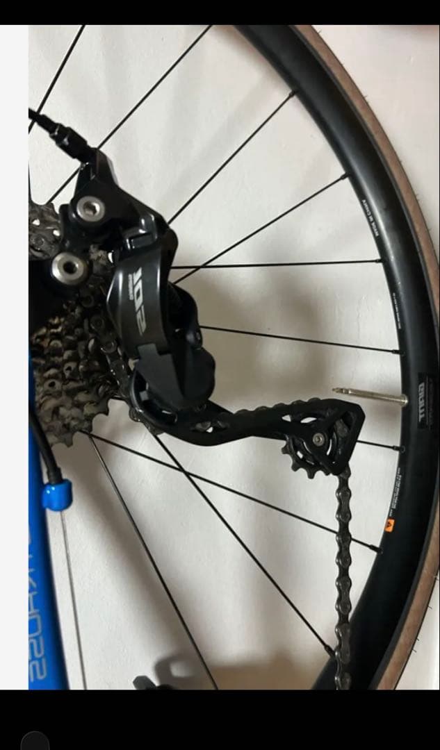 コーダーブルームストラウスレース3 105組　490mm