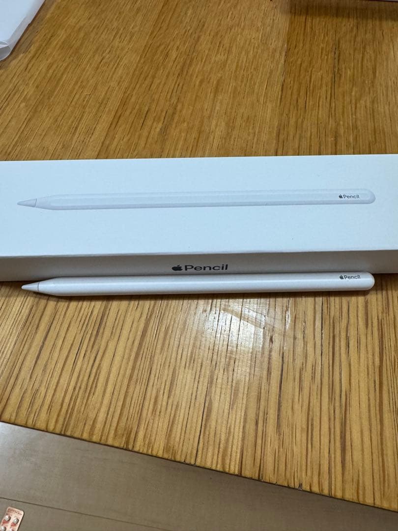 iPad本体 iPad mini 256GB Cellular + Apple pencil