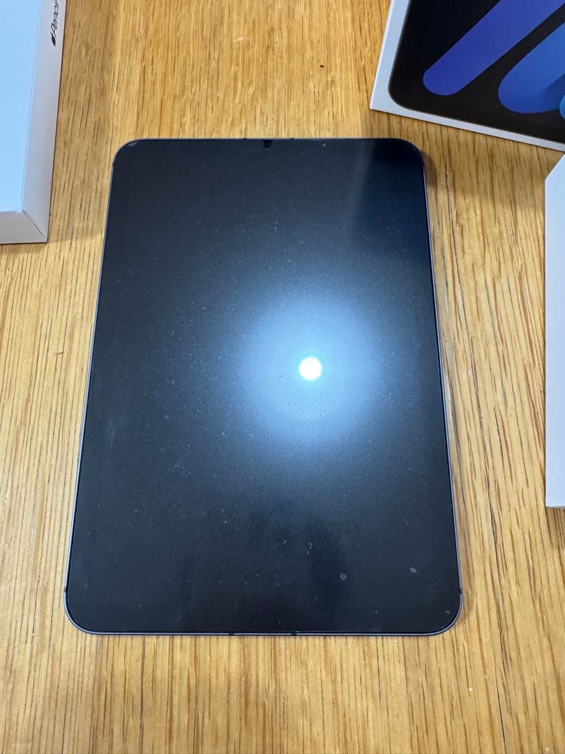 iPad本体 iPad mini 256GB Cellular + Apple pencil