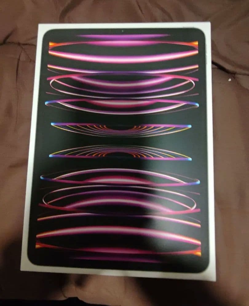 Apple iPad Pro シルバー 本体