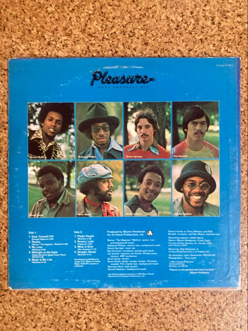 Pleasure Dust Yourself Off レコード レアグルーヴ