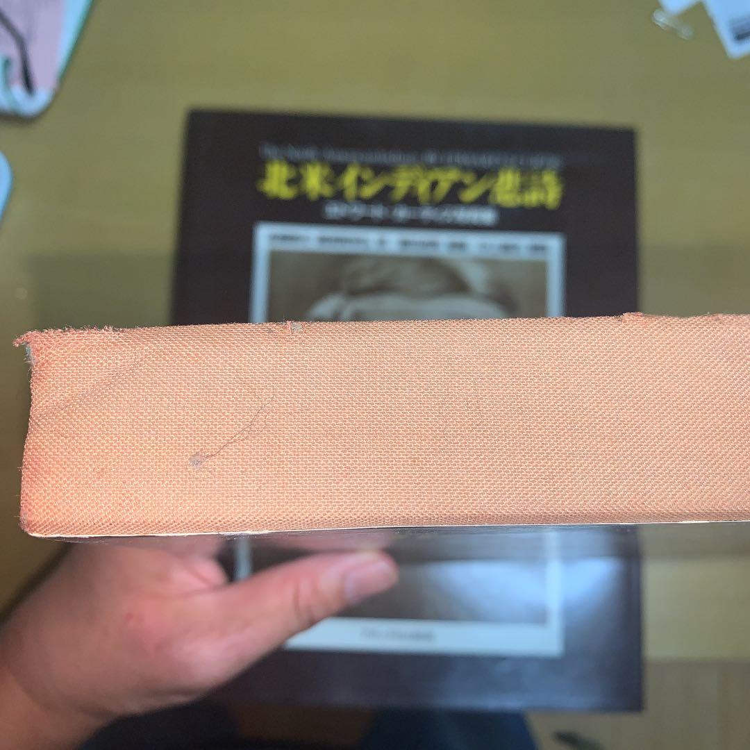 北米インディアン悲詩