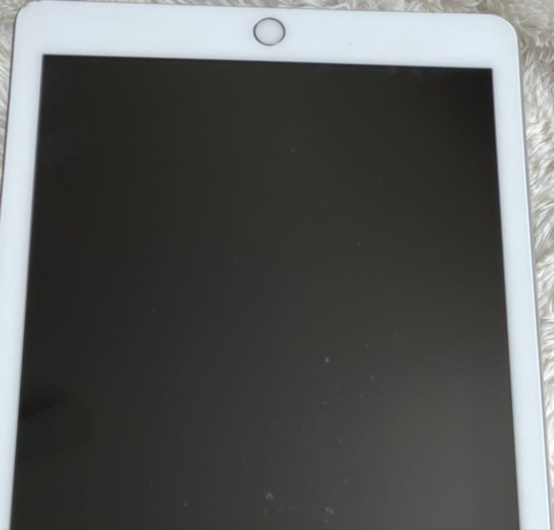 【早い者勝】iPad 第6世代 128GB SIMフリー 【すぐ発送】【付属品】