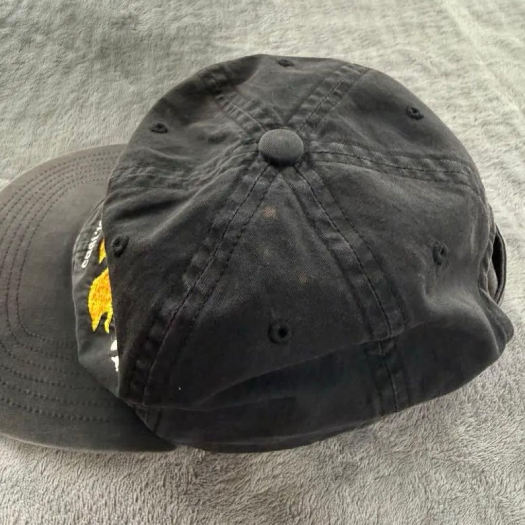 帽子 CHALLENGER Flame Fish Cap