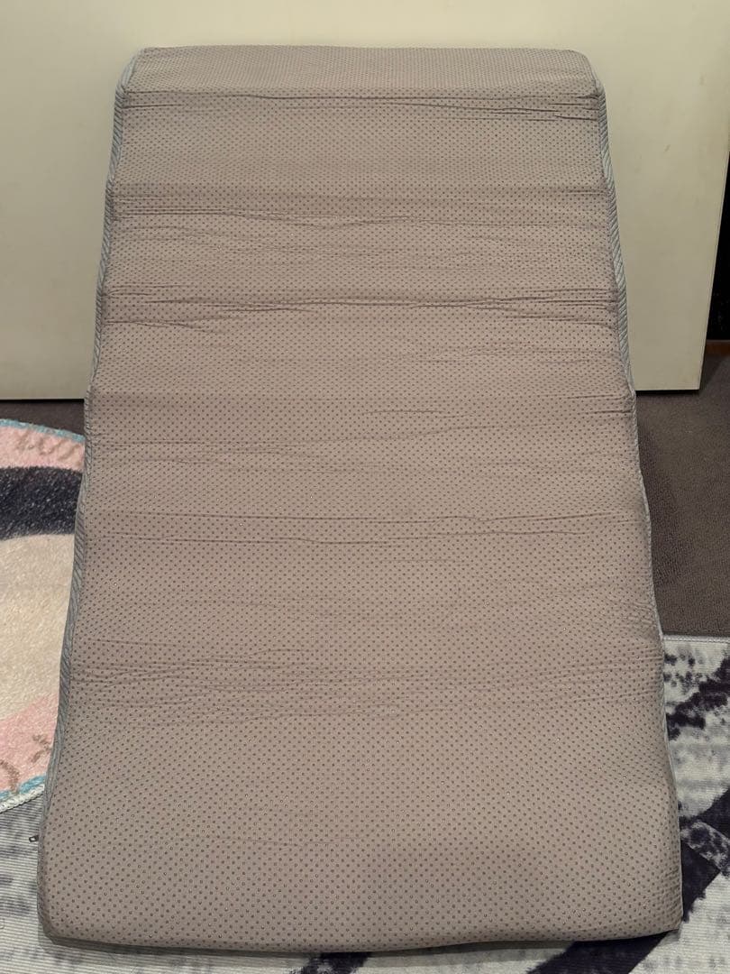ペット用階段　さざなみスロープ　新品