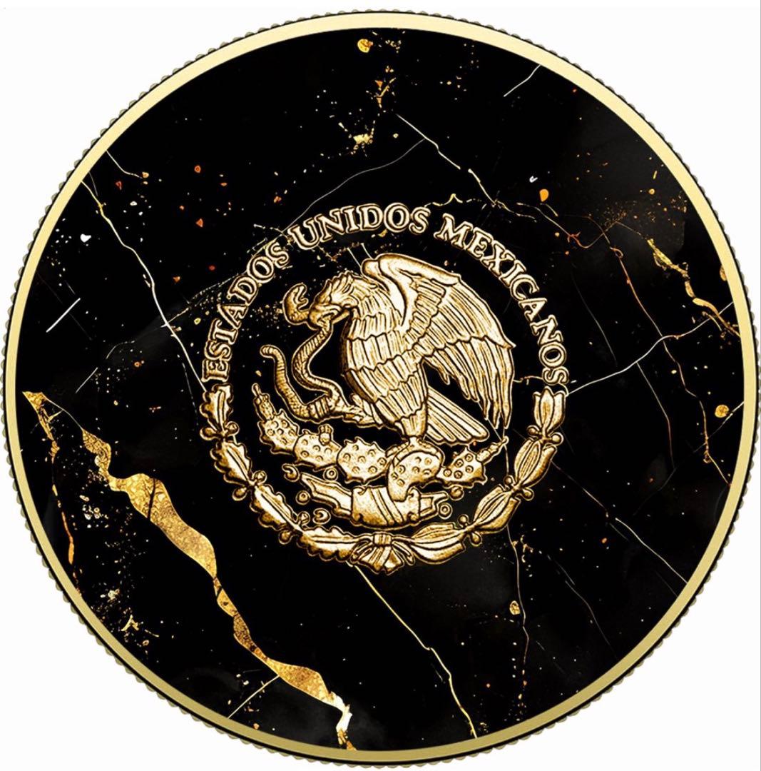 レア☆2024 リベルタード ゴールデンマーブル 1oz 銀貨 純銀 メキシコ