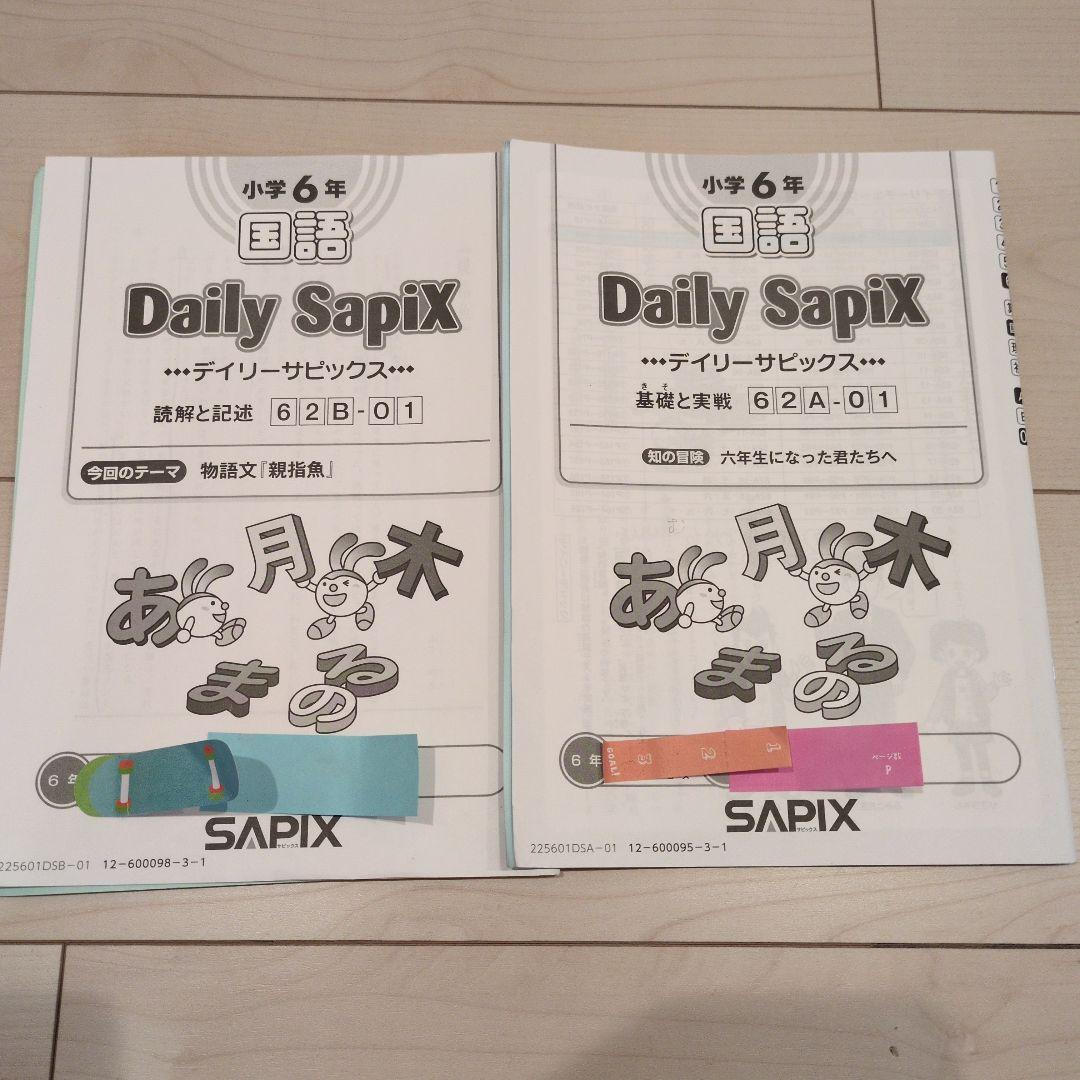 Daily Sapix 国語ワークブックセット