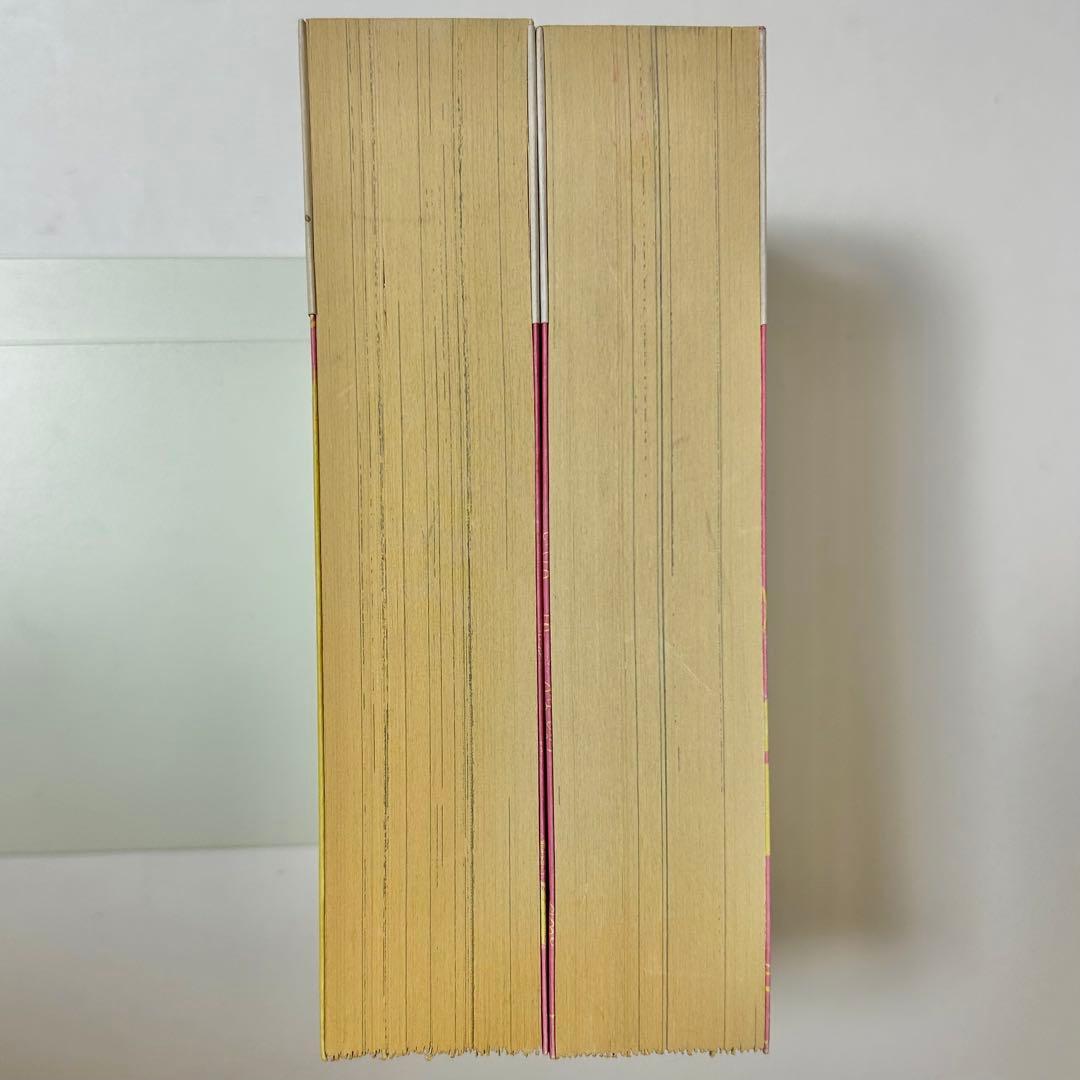 【送料込み】全巻初版・帯付き❗️手塚治虫エロス1000ページ 上下 手塚 治虫