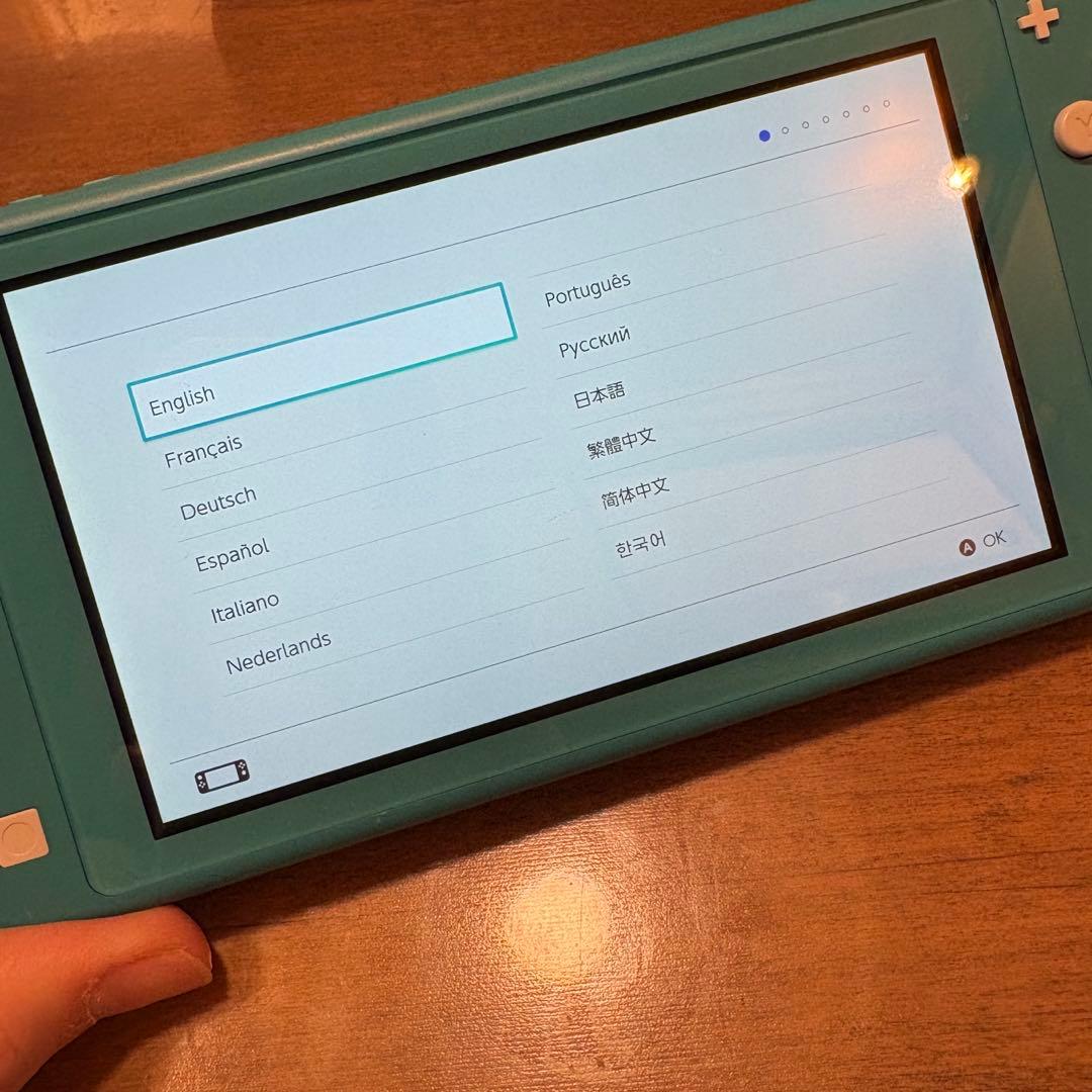 Nintendo Switch Liteどうぶつの森