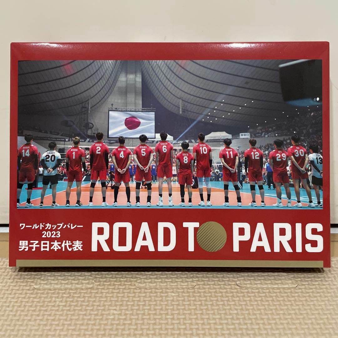 ワールドカップバレー2023 男子日本代表