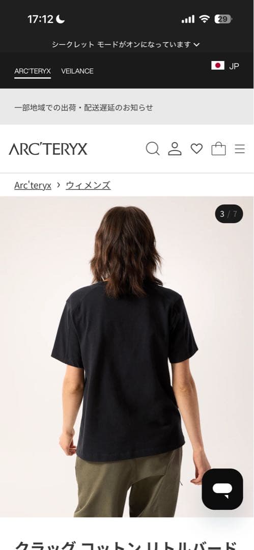ARC'TERYX Tシャツ 新品タグ付き L 半袖 黒ロゴ アークテリクス