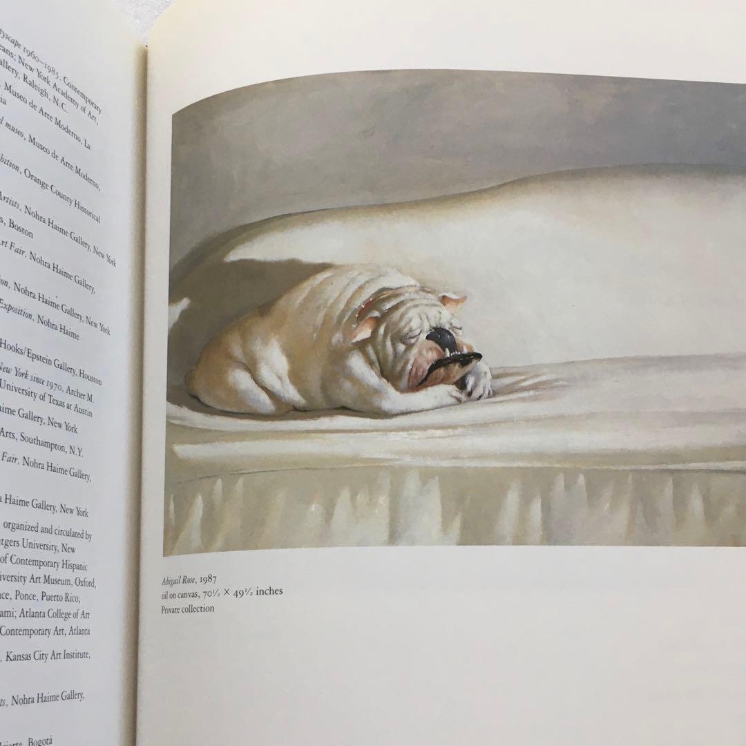 1970s シュルレアリスム \"Julio Larraz\" 画集 絵画 ART