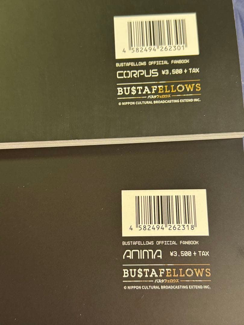 BUSTAFELLOWS バスタフェ ファンブック ANIMA CORPUS