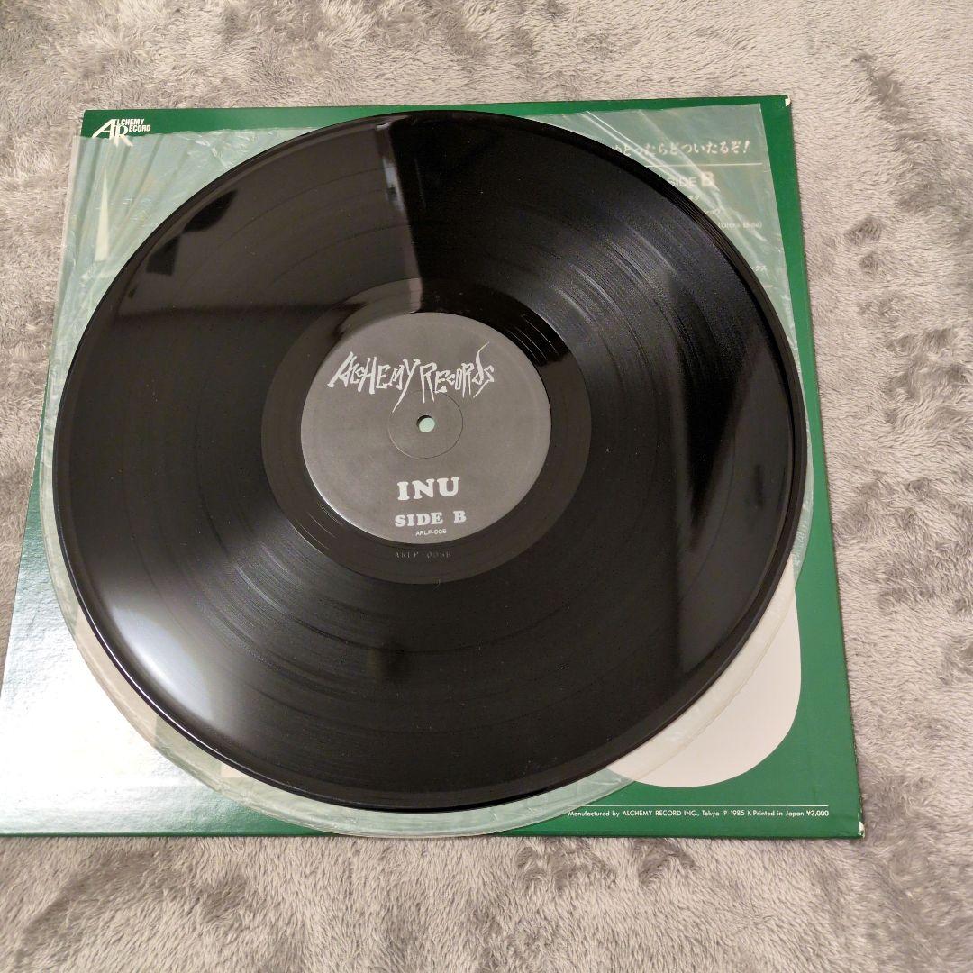 レア　イヌ レコード