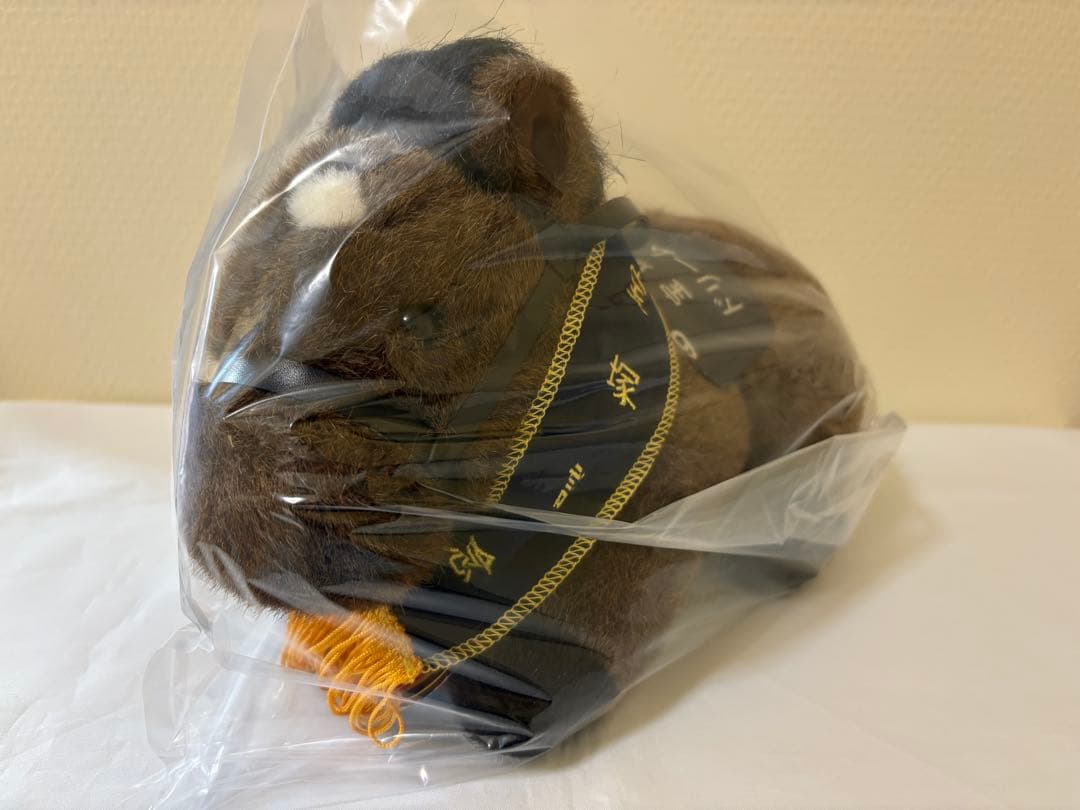 競馬ぬいぐるみ ドリームジャーニー号　 AVANTI
