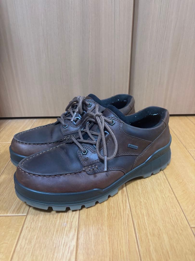 ecco TRACK 25 M エコー　ゴアテックス GTX