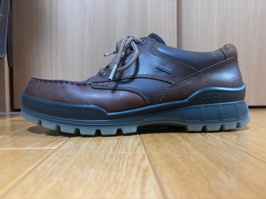 ecco TRACK 25 M エコー　ゴアテックス GTX