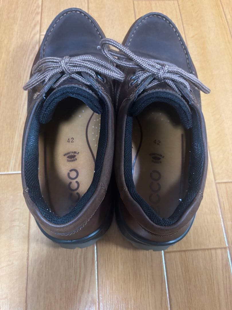 ecco TRACK 25 M エコー　ゴアテックス GTX