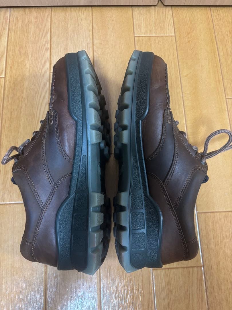 ecco TRACK 25 M エコー　ゴアテックス GTX