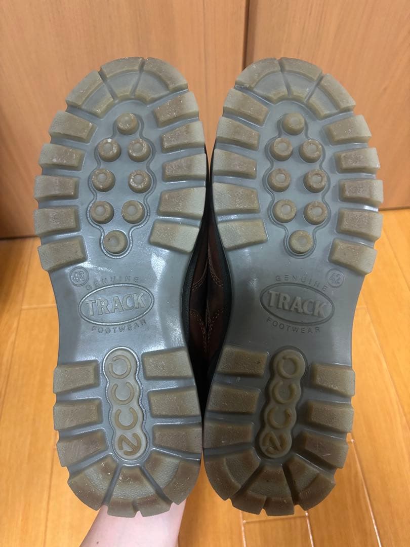 ecco TRACK 25 M エコー　ゴアテックス GTX