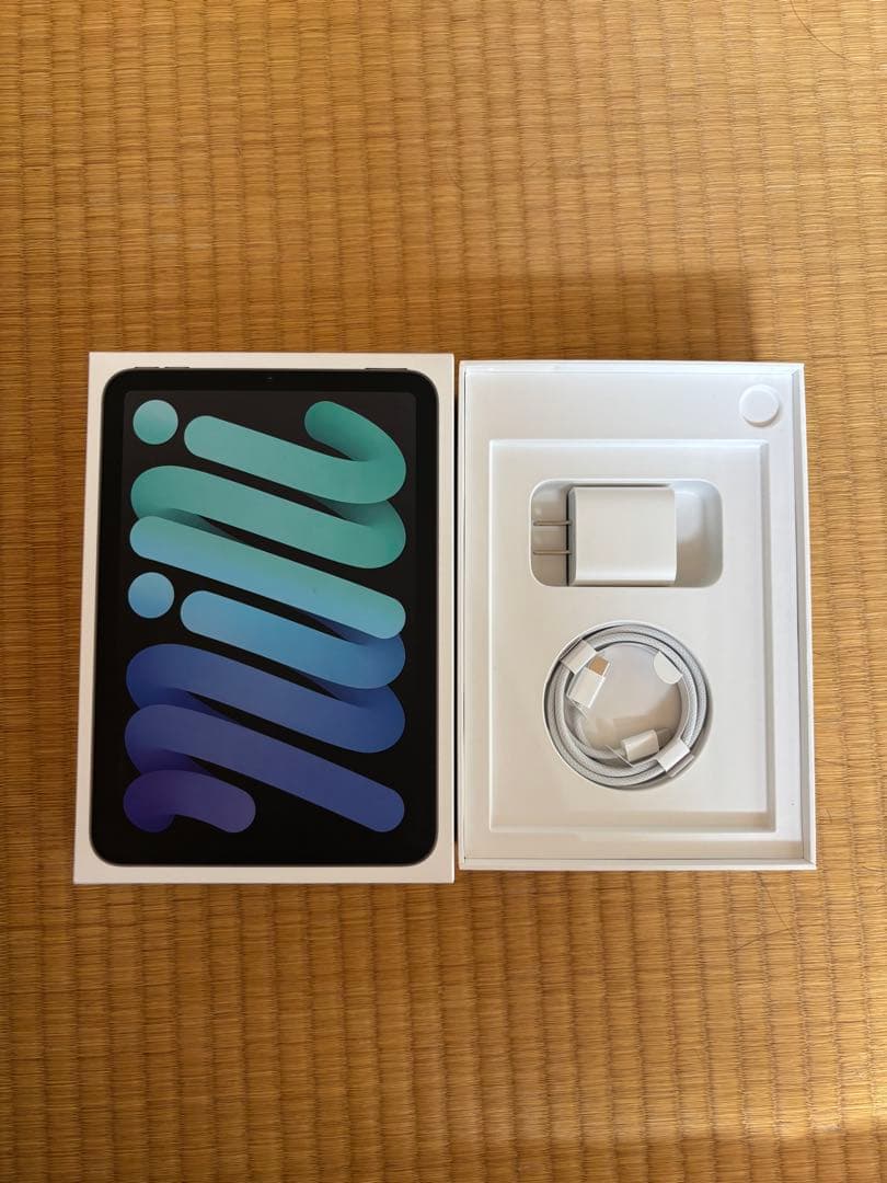 iPad mini (A17 Pro) 128GB スペースグレー周辺アクセ付属