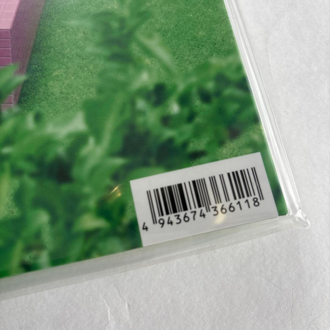 ●あいみょん レコード 瞳へ落ちるよ　レコード 2枚組　1st press