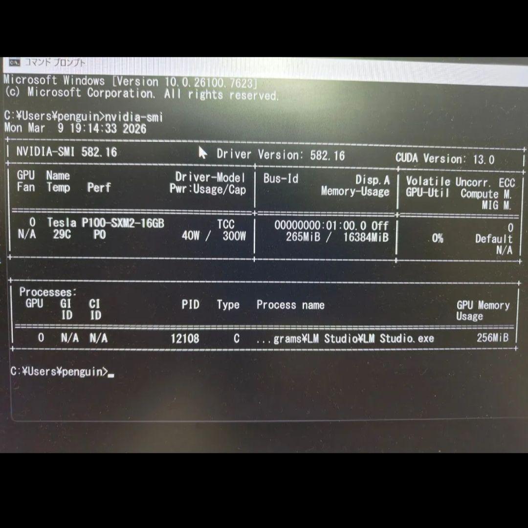 Tesla P100 16GB SXM2版 + SXM2→PCIE変換