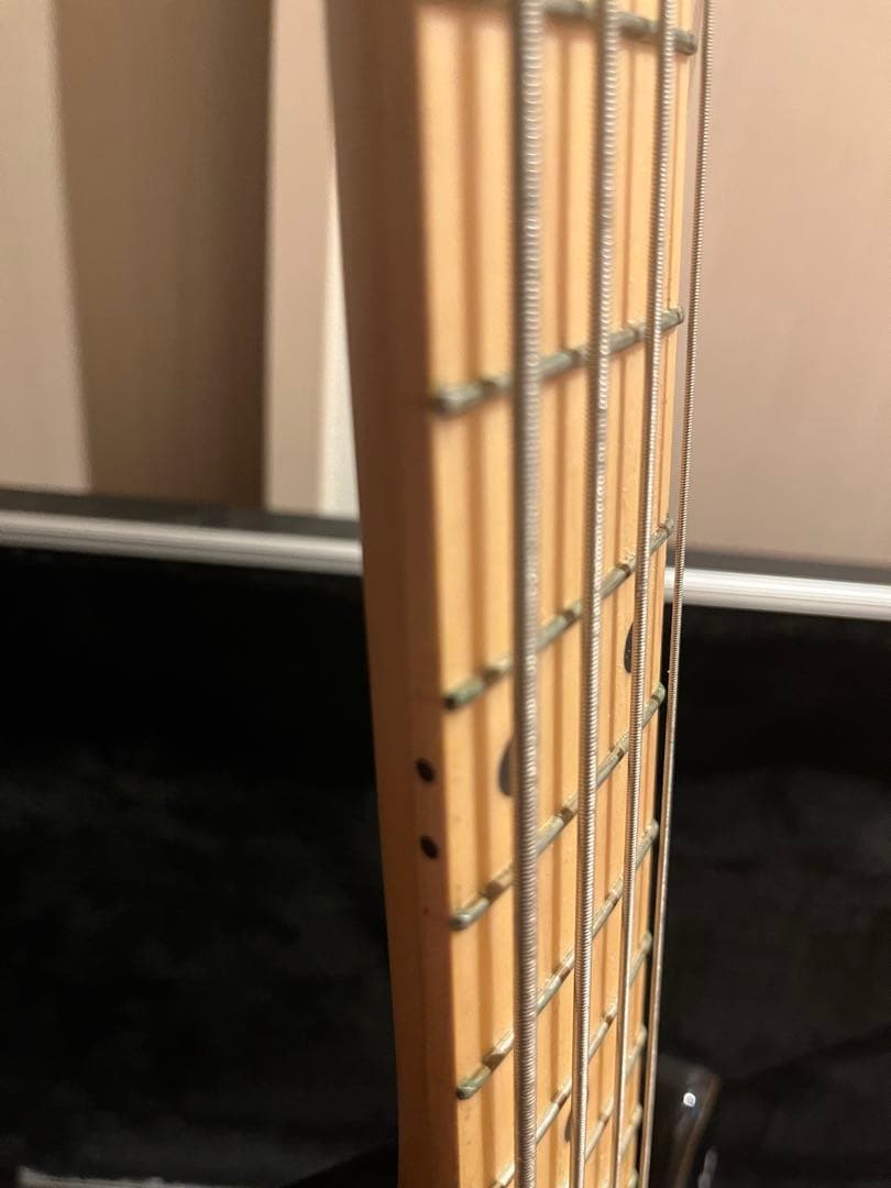 ハードケース付き　LAKLAND Skyline Series SK-4CL