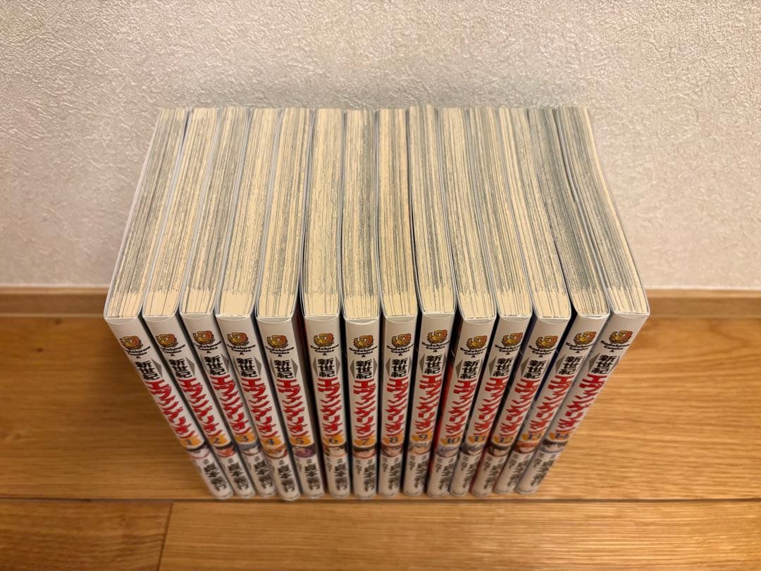 新世紀エヴァンゲリオン　全14巻セット　(13.14巻のみ初版)