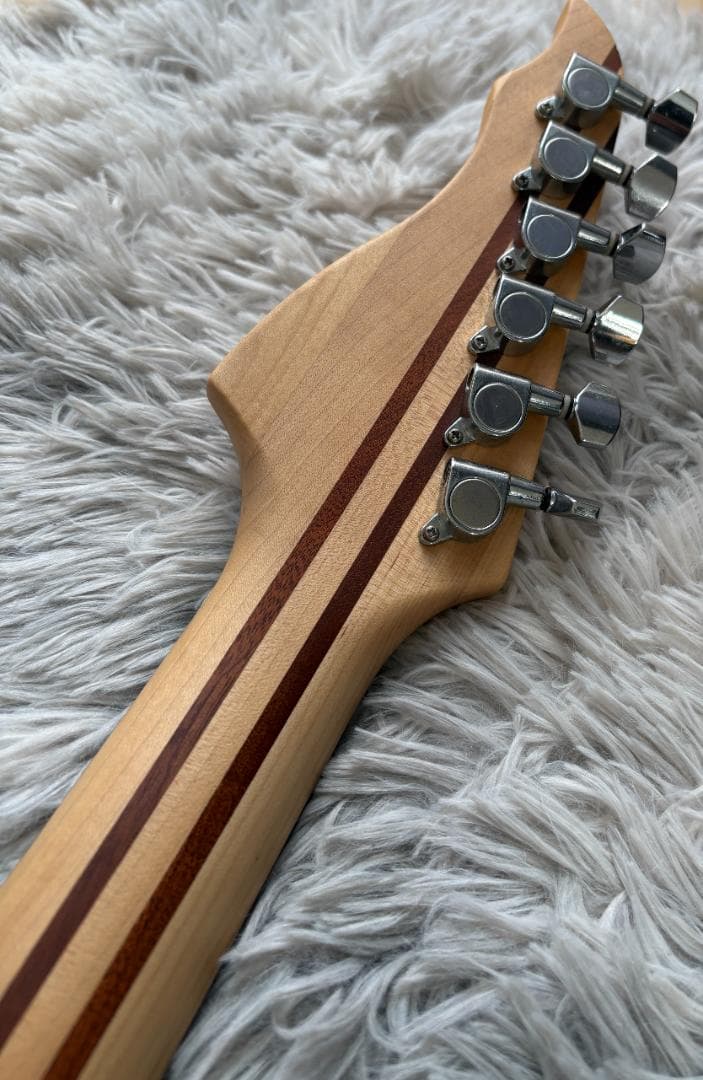 【激レア】メーカー不明　フォレストギター　スルーネック＆フロイド式ブリッジ