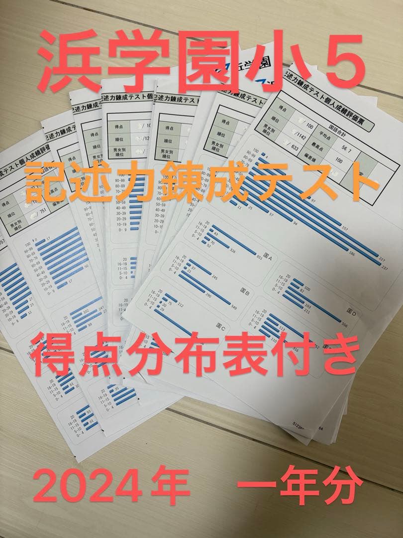 小5浜学園公開学力テスト2024年一年分　4科➕記述力錬成　二つの得点分布表付き