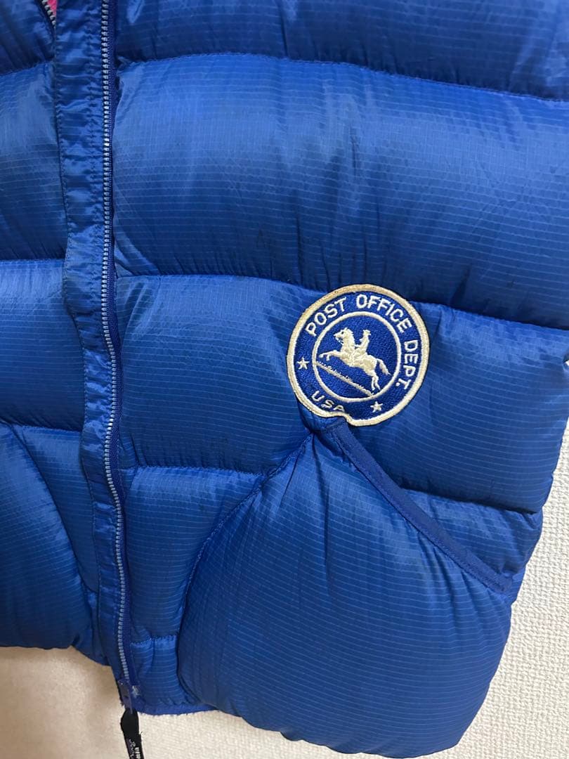 Patagonia グースダウンベスト