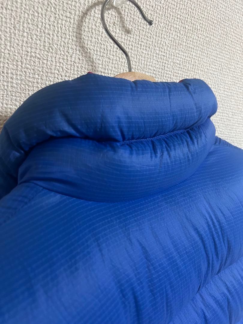 Patagonia グースダウンベスト