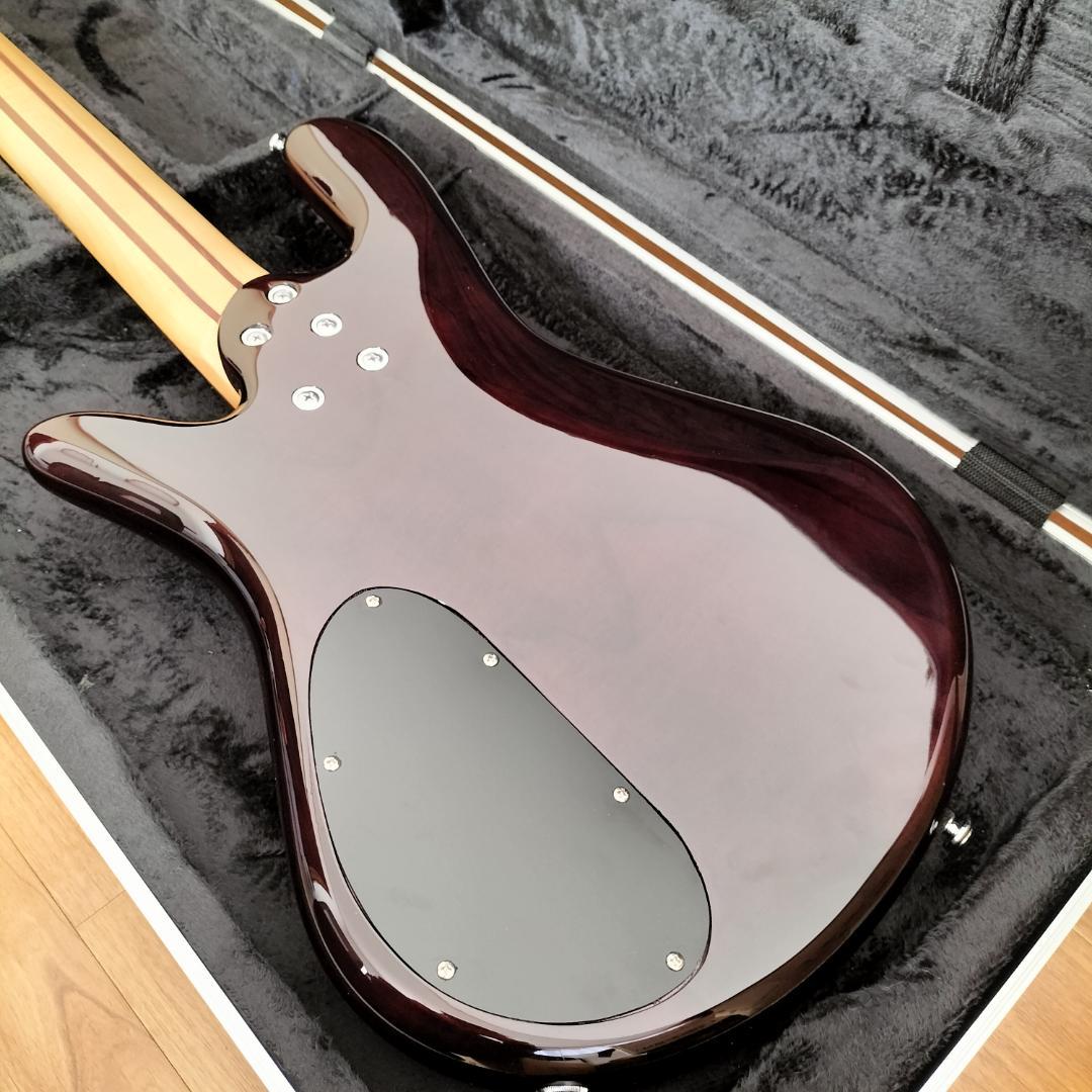 【最終価格】Spector 5弦ベース【美品レア】