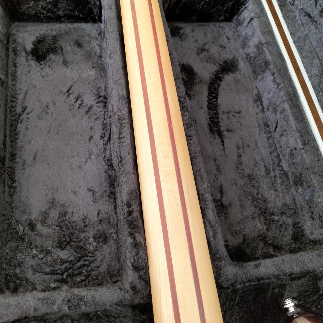 【最終価格】Spector 5弦ベース【美品レア】
