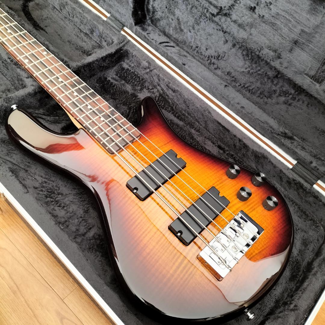【最終価格】Spector 5弦ベース【美品レア】