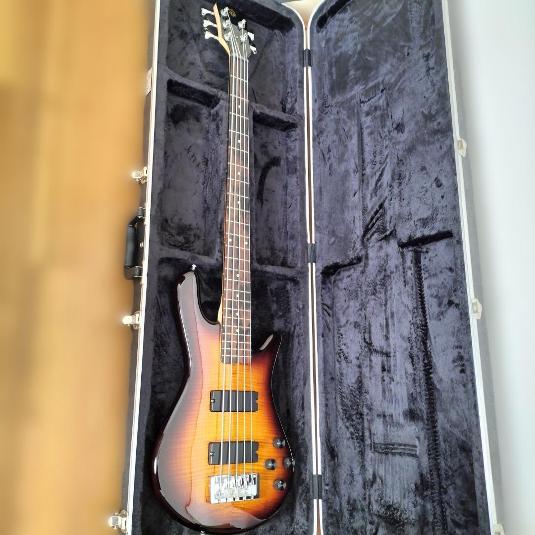 【最終価格】Spector 5弦ベース【美品レア】
