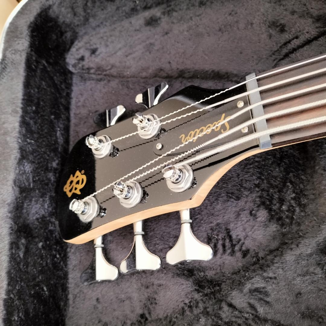 【最終価格】Spector 5弦ベース【美品レア】