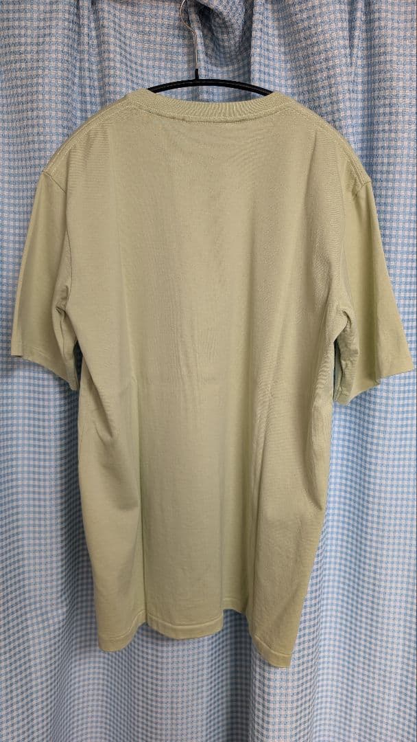 AURALEE LUSTER PLAITING TEE ライムグリーン サイズ3