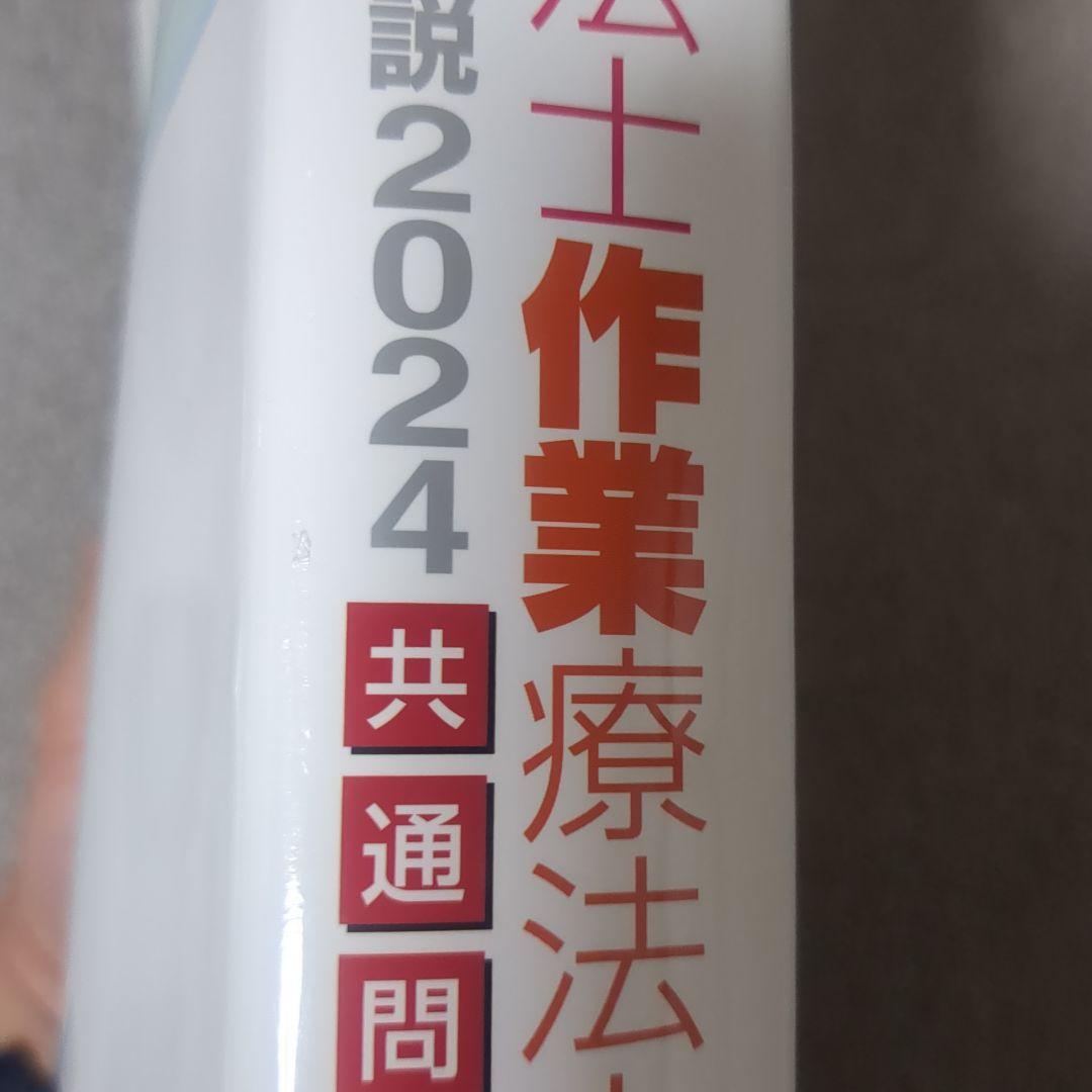QB 理学療法士・作業療法士 国家試験問題解説 2024 共通問題専門問題